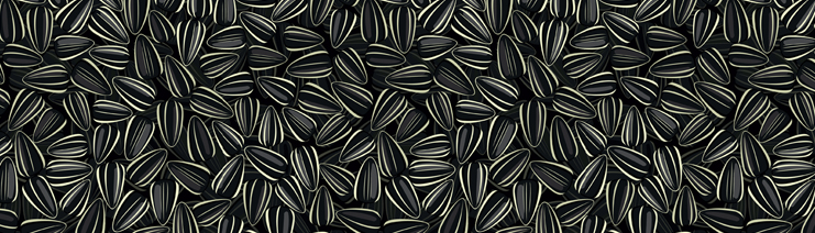 header-sunflower3